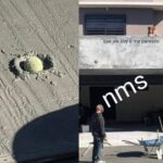 NMMS perro rabioso. XD