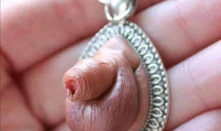 El collar perfecto no exis….