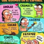 Palabras de origen Maya que usamos en español