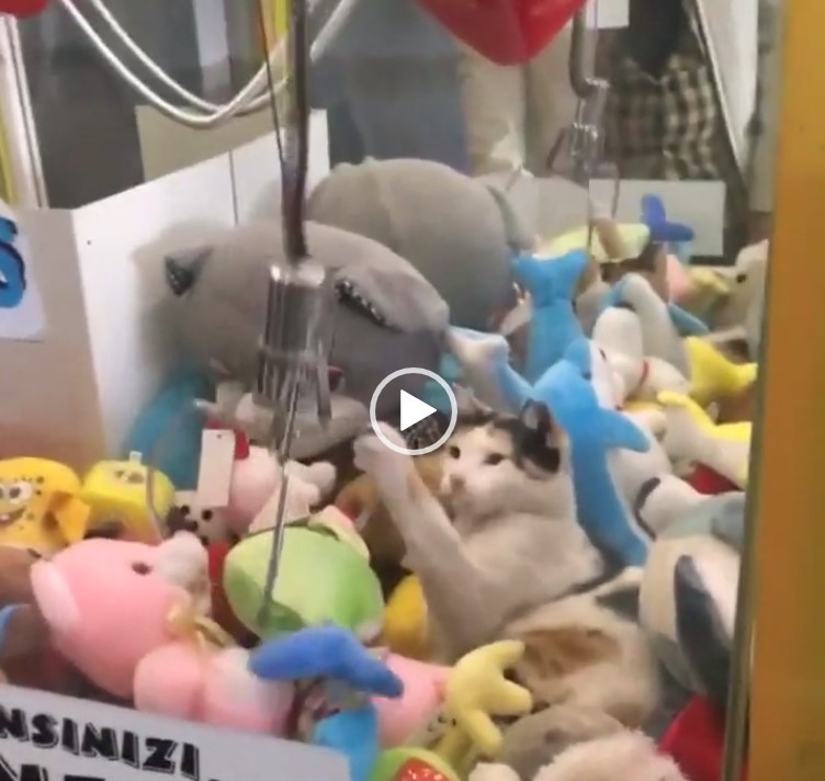 Ya no puede uno echar una siesta agusto.