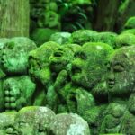 El templo Otagi Nenbutsu-ji (3/4)