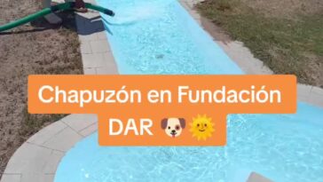 Para este calor un chapuzón!! #Queretaro #tequisquiapan #sanJuanDelRio #AdoptaN…