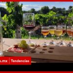 REGRESA TEQUISQUIAPAN BEERFEST 2023: EXPO-CERVEZA Y FIESTA MEDIEVAL – ContraRéplica REGRESA TEQUISQUIAPAN BEERFEST 2023: EXPO-CERVEZA Y FIESTA MEDIEVAL – ContraRéplica