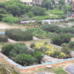 Tequisquiapan tendrá planta tratadora tipo humedal