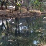 Buscan rescatar proyecto de Microcuenca en San Juan del Río