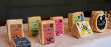 Alistan la 5ta edición del Festival Viva el Queso, en Tequisquiapan » Queretanízate