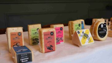 Alistan la 5ta edición del Festival Viva el Queso, en Tequisquiapan » Queretanízate