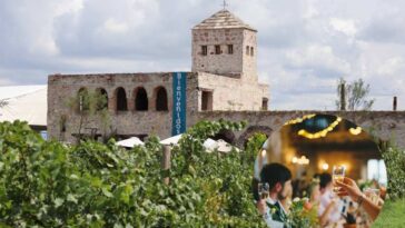 Habrá fiesta de Año Nuevo en el viñedo Tierra de Alonso