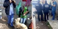 Resguarda CAAT animales tras denuncia ciudadana en Tequisquiapan