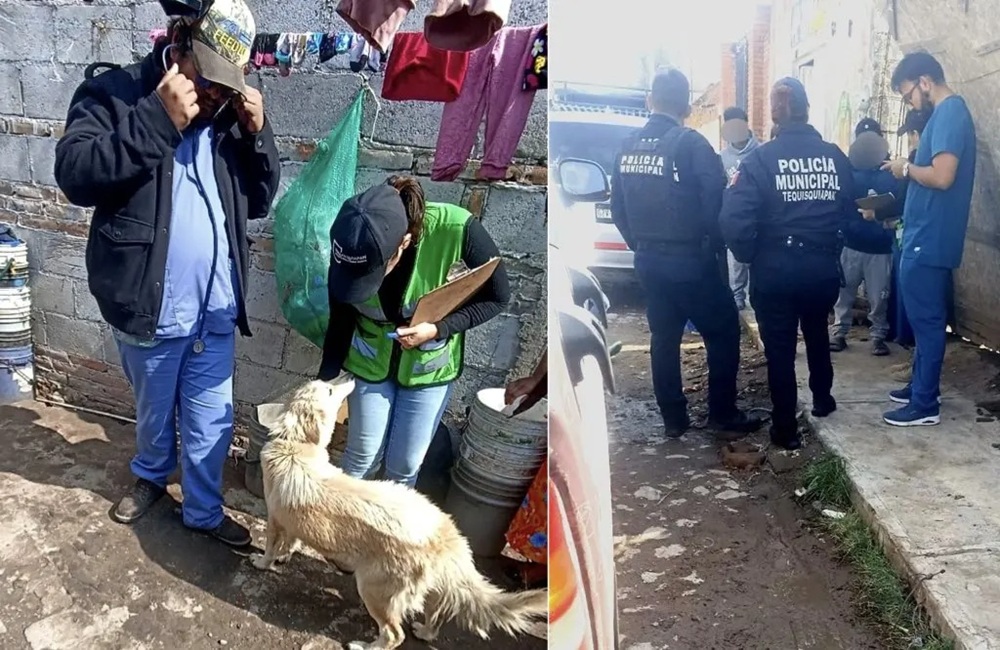 Resguarda CAAT animales tras denuncia ciudadana en Tequisquiapan
