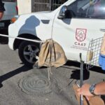 Recupera CAAT de Tequisquiapan víboras que serían comercializadas – El Sol de San Juan del Río