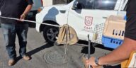 Recupera CAAT de Tequisquiapan víboras que serían comercializadas – El Sol de San Juan del Río