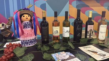 Festival del Arte, Queso y Vino 2026 impulsa ruta enoturística de Querétaro – El Sol de Acapulco