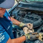 Bomberos rescatan a gatito atrapado en el motor de una camioneta en Tequisquiapan Bomberos rescatan a gatito atrapado en el motor de una camioneta en Tequisquiapan