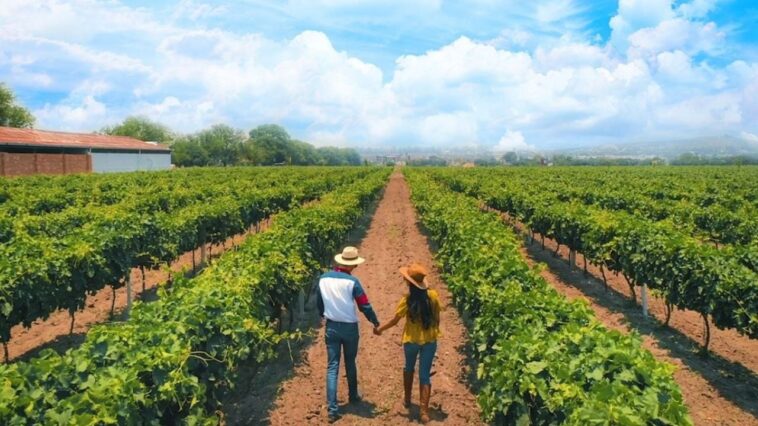 Clima y pronóstico del tiempo en Tequisquiapan, Querétaro, para este jueves 4 de junio de 2026