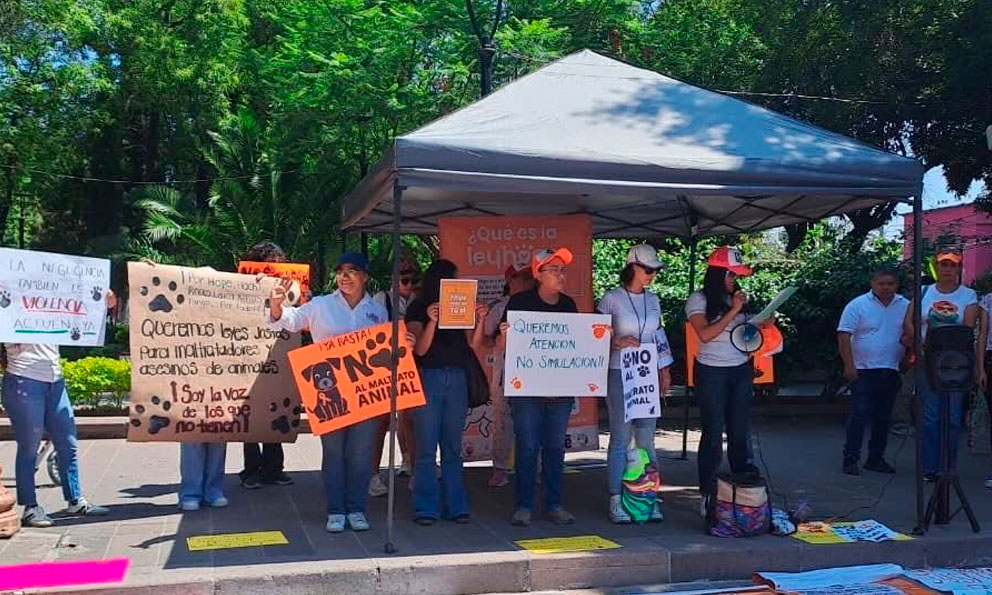 Potosinos protestan por asesinato de Laika y Solovino