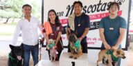 Familias participan en la primera Carrera Caminata con Mascotas en Tolimán
