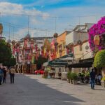 Advierte Protección Civil de Tequisquiapan descenso de temperaturas – El Sol de San Juan del Río Advierte Protección Civil de Tequisquiapan descenso de temperaturas – El Sol de San Juan del Río