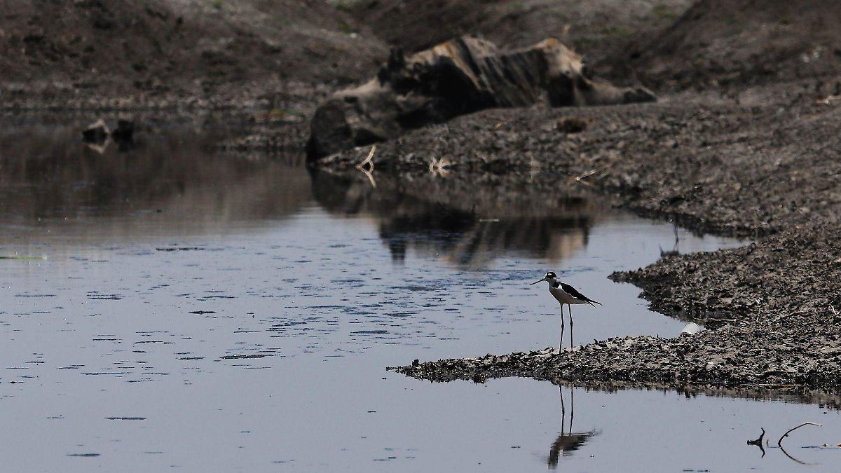 México y EU llegan a acuerdo sobre suministro de agua en medio de sequía y escasez