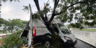 Pierde el control y choca contra jacarandas en Paseo de la República 