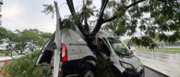 Pierde el control y choca contra jacarandas en Paseo de la República 