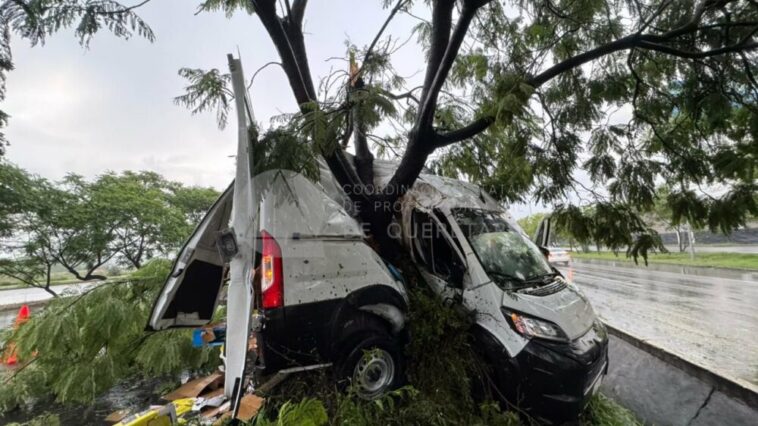 Pierde el control y choca contra jacarandas en Paseo de la República 