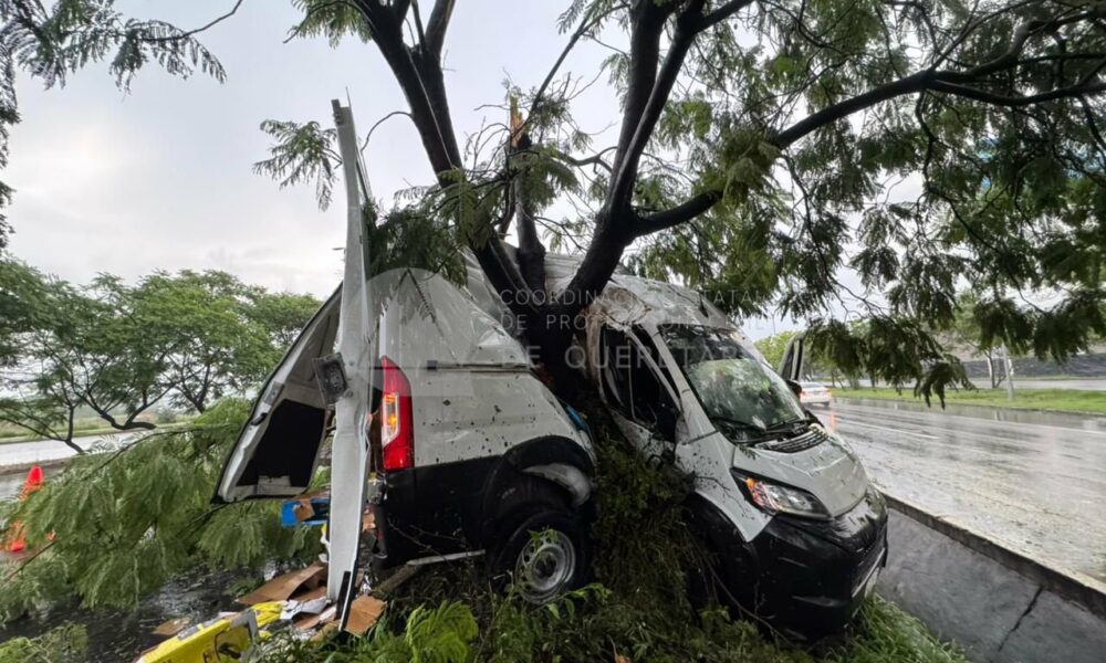 Pierde el control y choca contra jacarandas en Paseo de la República 