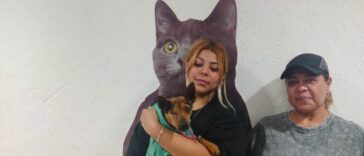 En el Día Mundial del Perro, Tequisquiapan celebra la adopción y reafirma su compromiso con el bienestar animal.