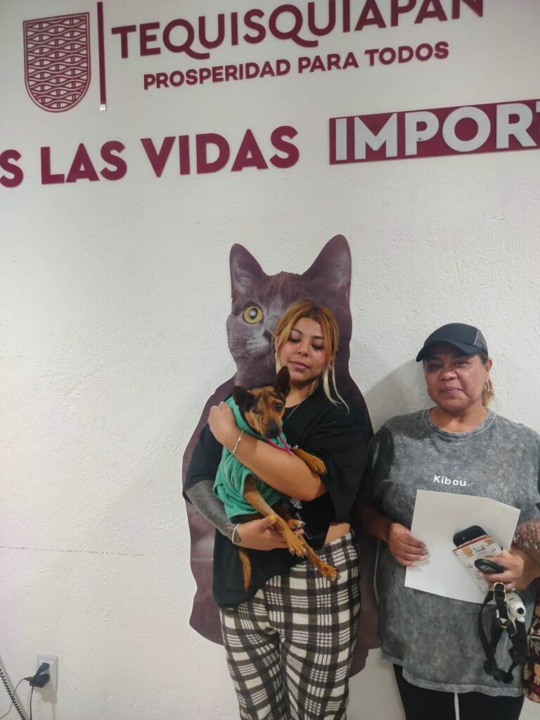 En el Día Mundial del Perro, Tequisquiapan celebra la adopción y reafirma su compromiso con el bienestar animal.