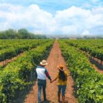 Clima en Tequisquiapan hoy lunes 31 de agosto: pronóstico del tiempo y calidad del aire en el Pueblo Mágico queretano