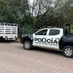 Aseguran camioneta que tenía alteraciones en el número de serie – El Sol de San Juan del Río