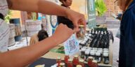 Definen talleres que serán impartidos por la UAQ en Tequisquiapan – El Sol de San Juan del Río