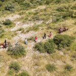 Usan caballo y dron para rescatar a mujer lesionada en Tequisquiapan – El Sol de México