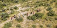 Usan caballo y dron para rescatar a mujer lesionada en Tequisquiapan – El Sol de México