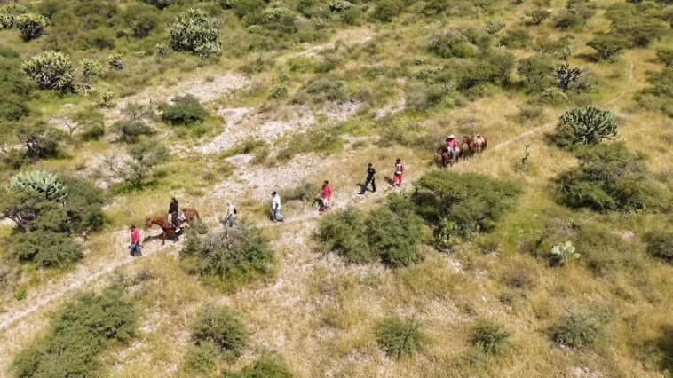 Usan caballo y dron para rescatar a mujer lesionada en Tequisquiapan – El Sol de México